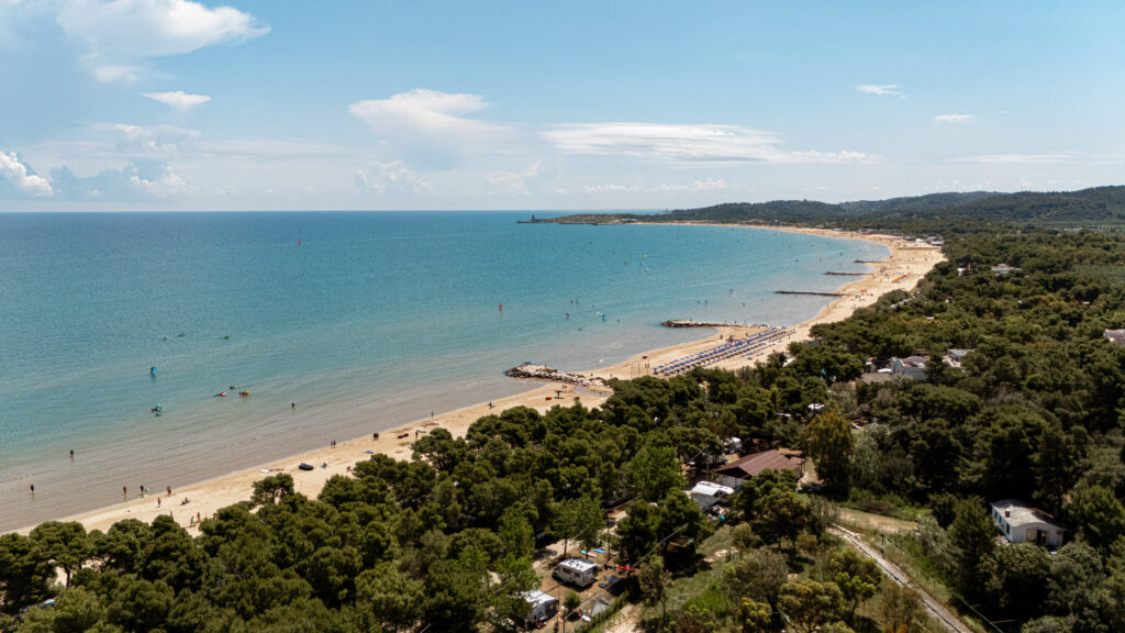 Scopri come arrivare a Vieste in auto, treno, bus o aereo. Tutte le soluzioni per raggiungere la perla del Gargano in modo semplice e comodo.